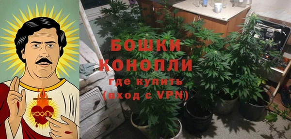 спиды Осинники