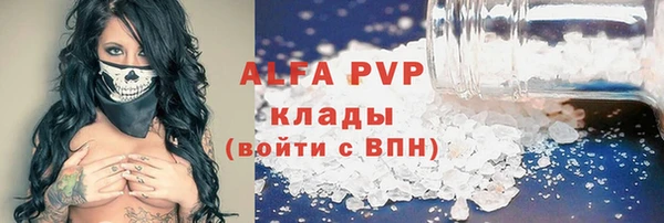 прущие грибы Болотное